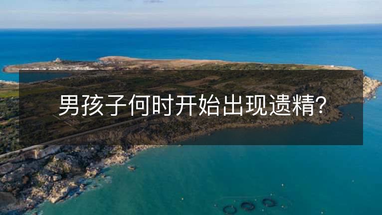 男孩子何时开始出现遗精? 男孩子何时开始出现遗精?