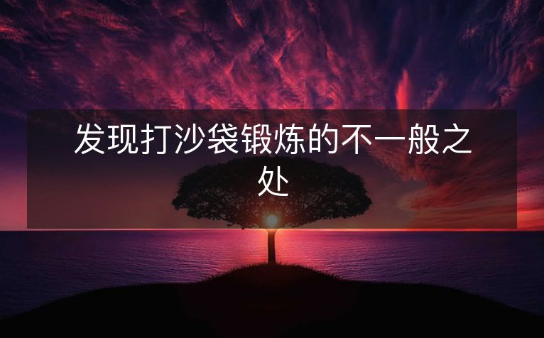 发现打沙袋锻炼的不一般之处 发现打沙袋锻炼的不一般之处